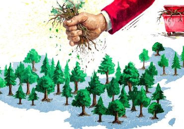 What will China’s fifth plenum mean for the root-and-branch corruption drive?