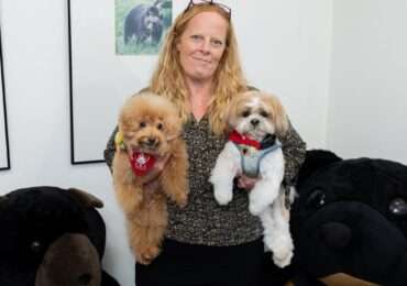 Therapy dogs in high demand: Hong Kong programme booked out until February 2027