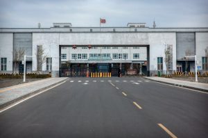 US Blocks Imports From 3 Chinese Genetics Companies Over Forced Labor Concerns